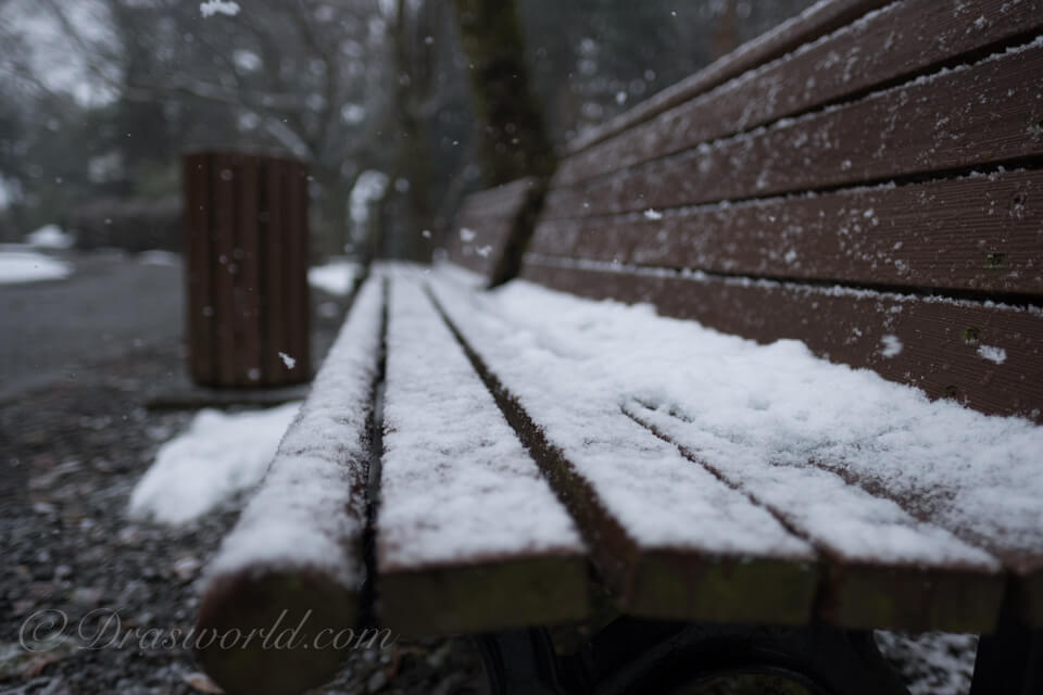 XF16mm。開放(F1.4)で撮影。