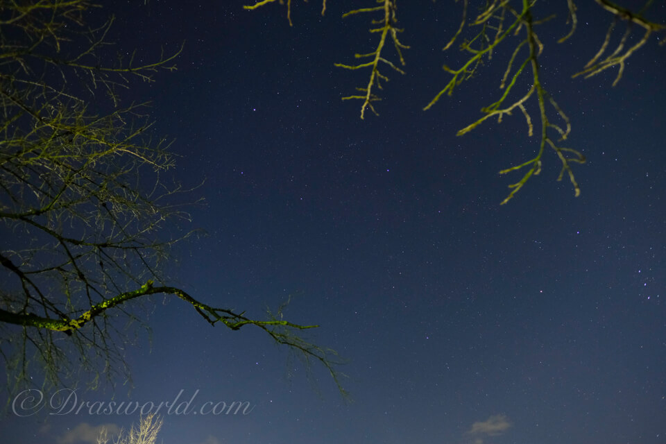 XF16mmでF2で撮影。