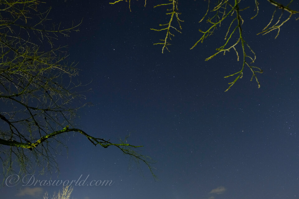 XF16mmでF2.8で撮影。