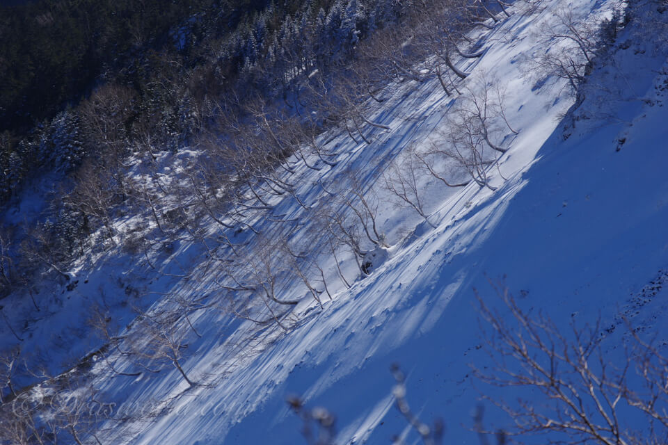 HD PENTAX-DA 16-85mmF3.5-5.6ED DC WRの85mmで撮影