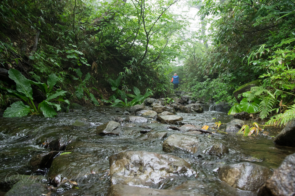 HD PENTAX-DA 16-85mmF3.5-5.6ED DC WRの16mmで撮影